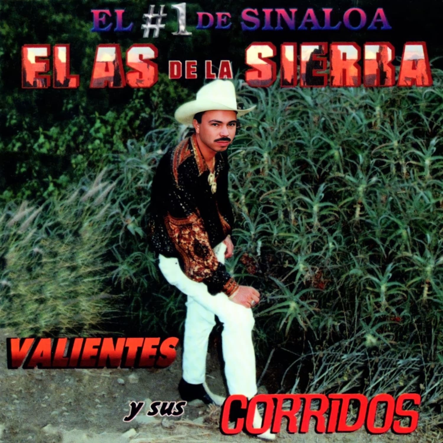 El As De La Sierra — El Cachas De Oro